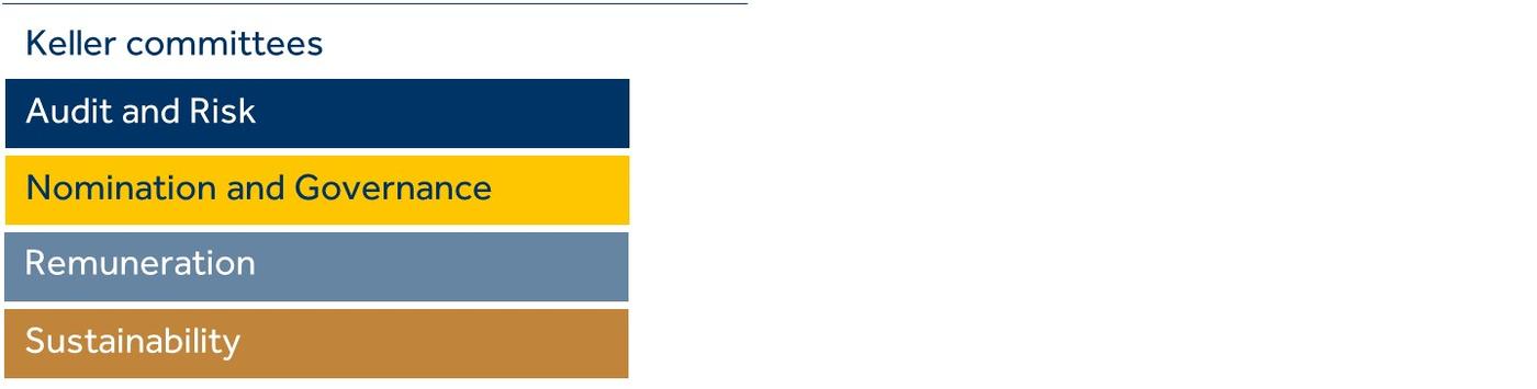 Member of Audit and Risk, Nomination and Governance, Remuneration and Sustainability committees